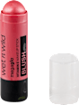 megaglo rumenilo u stiku Currant jam wet n wild