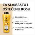 Oil Nutritive - šampon za kosu Schwarzkopf GLISS