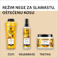 Oil Nutritive - šampon za kosu Schwarzkopf GLISS