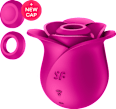 Pro 2 Modern Blossom vibrator Satisfyer