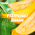 Vyživujúca maska na suché vlasy Banana Hair Food GARNIER FRUCTIS