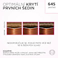barva na vlasy 645 Jantar L'ORÉAL PARiS CASTING Crème Gloss