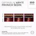 barva na vlasy 550 Mahagon L'ORÉAL PARiS CASTING Crème Gloss