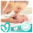 Şerveţele umede 4x52 Pampers
