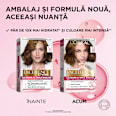 Vopsea de păr permanentă cu amoniac 5.3 L'ORÉAL PARiS EXCELLENCE Creme