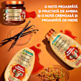Şampon reparator cu miere GARNIER BOTANIC THERAPY