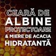 Șampon reparator cu miere GARNIER BOTANIC THERAPY