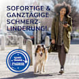 Blasenpflaster 5 + 1Extra Pflaster Scholl