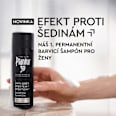 šampon na vlasy s Anti-Grey efektem Plantur 39