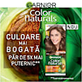 Vopsea de păr permanentă 6 Blond natural mediu GARNIER Color naturals