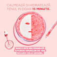 Mască șervețel pentru față cu probiotice GARNIER SKIN NATURALS