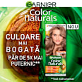 Vopsea de păr permanentă 7N Blond Natural GARNIER Color naturals