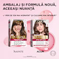 Vopsea de păr permanentă cu amoniac 6.1 L'ORÉAL PARiS EXCELLENCE Creme