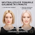 Nuanțator acid de păr semipermanent Platinum Ice L'ORÉAL PARiS PRÉFÉRENCE