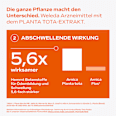 Arnika-Salbe 10% WELEDA