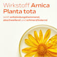Arnika-Salbe 10% WELEDA