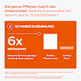 Arnika-Salbe 10% WELEDA