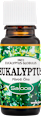 esenciální olej eukalyptus Saloos