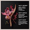 Collection Exquisite Leatheredp Woda perfumowana męska DAVID BECKHAM
