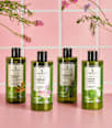 Essence of Nature šampon za masnu kosu Cleanse & Hydrate  AFRODITA