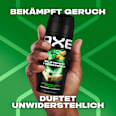 Deospray Mojito Cedarwood AXE