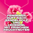 Bodyspray for her Anarchy AXE