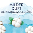 Wäscheparfum Frische Baumwollblüte XL Lenor
