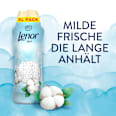 Wäscheparfum Frische Baumwollblüte XL Lenor