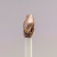 Flüssiger Lidschatten Desert Dune Shimmer C02 Endless Sands CATRICE