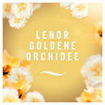 Lufterfrischer Lenor Goldene Orchidee Febreze