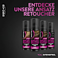 Ansatz Retoucher Braun Syoss