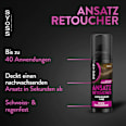Ansatz Retoucher Braun Syoss