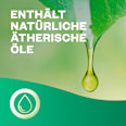 Duftspray 24/7 Active Fresh Nachfüller Meeresbrise AirWick