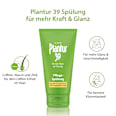 Conditioner Pflege coloriertes und strapaziertes Haar Plantur 39