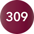 Gel laque lak za nokte – 309 EVELINE COSMETICS
