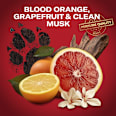 deodorant stick Tiger Claw  Old Spice