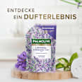 Flüssigseife Lavendel & Bergamotte Nachfüllpack (2x250 ml) Palmolive