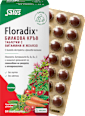 Таблетки билкова кръв с витамини и желязо Floradix