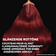 Haarfarbe 5.52 Glänzendes Weinrot GARNIER olia