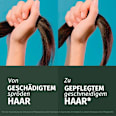 Shampoo Repair Arganöl Herbal Essences