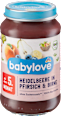 Bio ovocný príkrm s čučoriedkami, broskyňou a hruškou babylove