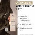 barva na vlasy Creme Supreme 6-16 Chladná popelavě tmavá blond Schwarzkopf CREME SUPREME