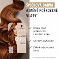barva na vlasy Creme Supreme 7-7 Měděná blond Schwarzkopf CREME SUPREME