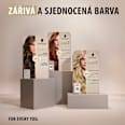 barva na vlasy Creme Supreme 6-0 Přirozená tmavá blond Schwarzkopf CREME SUPREME