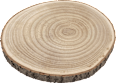 Holzscheibe Dekorieren & Einrichten