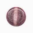 Lakier do paznokci Bold Magnetic Nail Polish 020 Don't Be So Clingy CATRICE