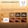 Haarfarbe 5.3 Helles Goldbraun L'ORÉAL PARiS PRÉFÉRENCE