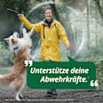 Zink+ Histidin + Vitamin C + Selen Tabletten 40 St taxofit