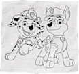 Badeseifen Stifte + Handtuch 5tlg. Paw Patrol