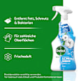 Allzweckreiniger Antibakteriell Frischeduft Dettol